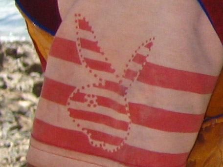 monk_playboy_logo